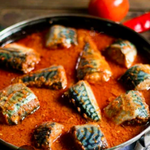 mackerel